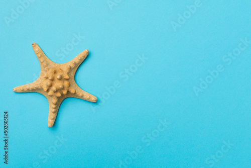 Starfish on color background, top view
