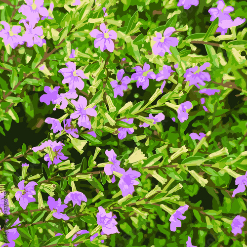 purple flower in garden