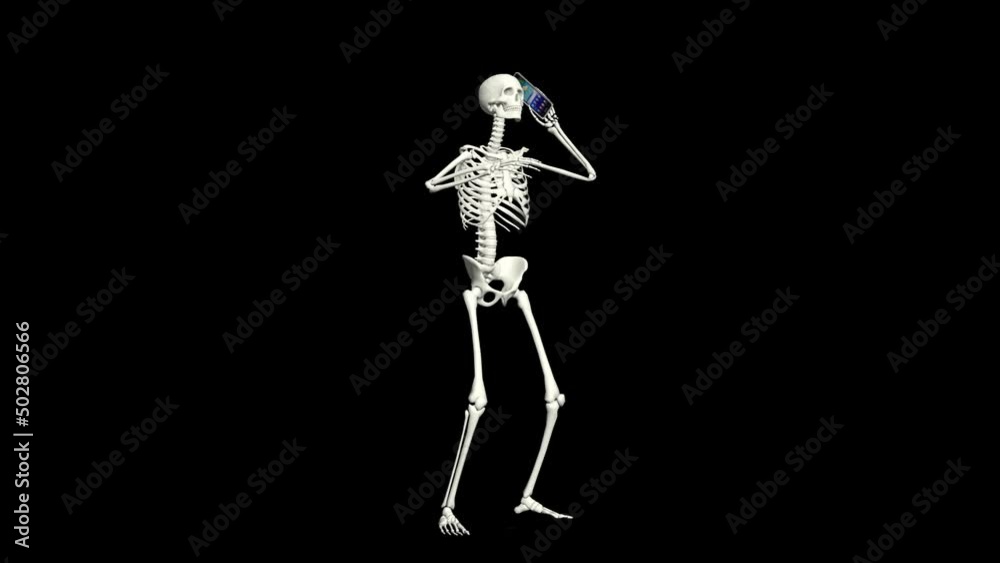 Skeleton is talking on the phone. Skeleton conversation using the phone. 3D realistic animation. Skeleton is talking on the phone. Skeleton conversation using the phone. 3D realistic animation.