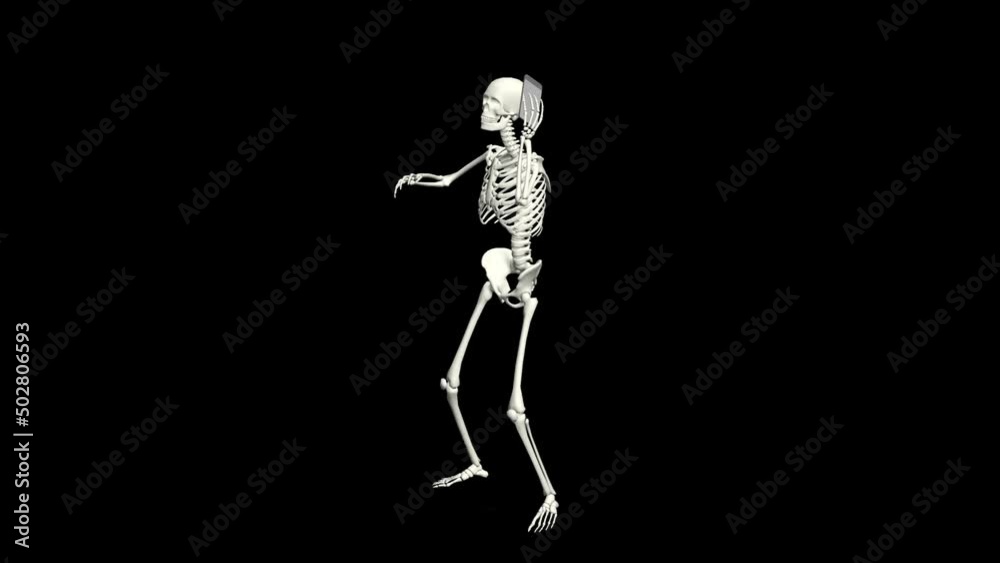 Skeleton is talking on the phone. Skeleton conversation using the phone. 3D realistic animation. Skeleton is talking on the phone. Skeleton conversation using the phone. 3D realistic animation.