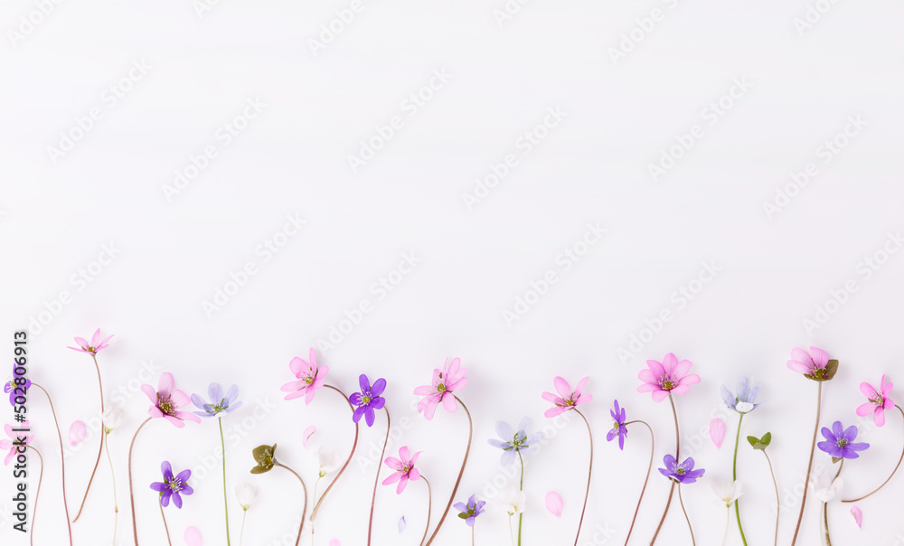 Delicate small wildflowers in pink, blue, purple on a white background