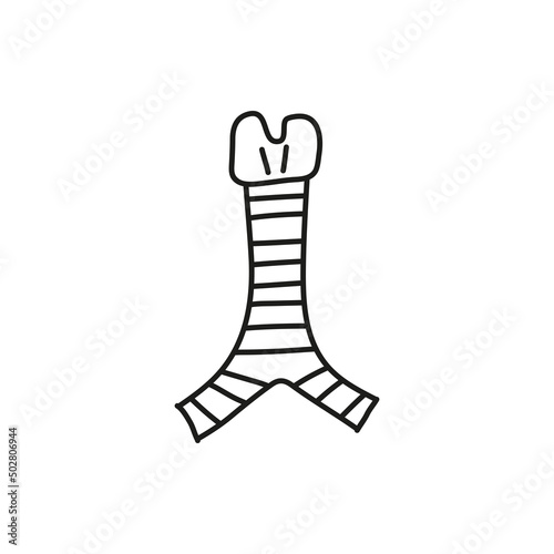 Doodle outline trachea icon.