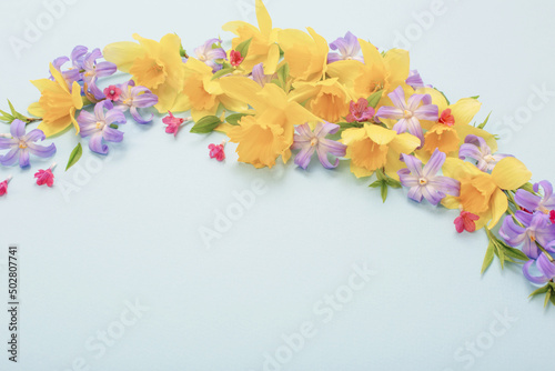 spring flowers on blue papper background