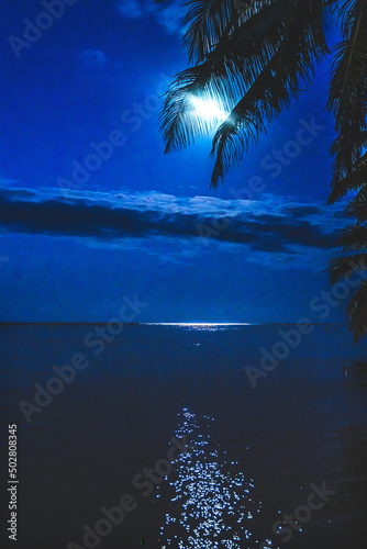 Moon Night Reflection Blue Water Moorea Tahiti