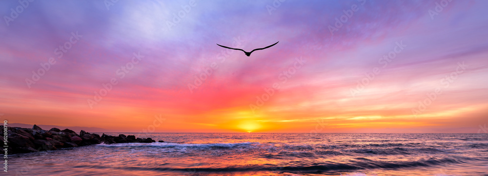 Ocean Sunset Landscape Bird Banner High Resolution Image Stock Photo ...
