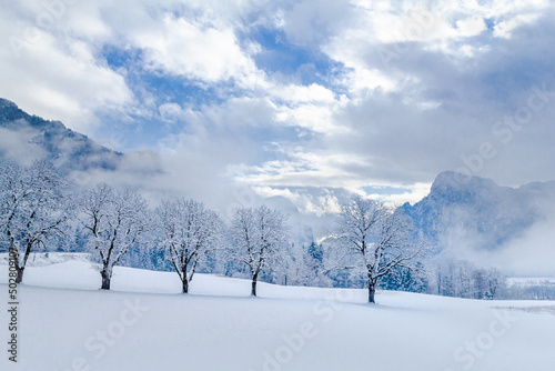 winter landscape in the mountains