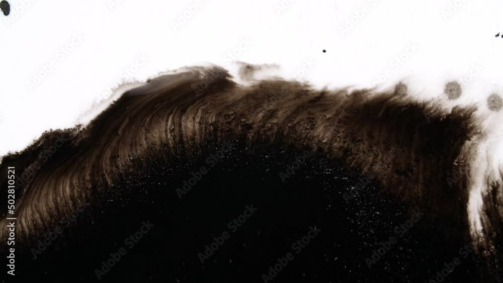 Black Ink Drops On White Background
Black Ink Drops On White Background