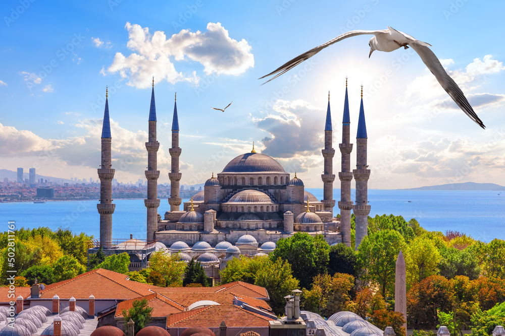 The Blue Mosque in the Golden Horn or Sultan Ahmet Mosque, Istanbul, Turkey