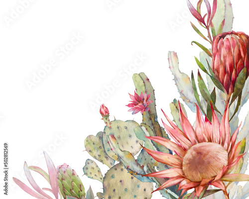 African flora: protea and cactus. Frame design. Watercolor card with desert plants on white background. Flowering cacti banner design