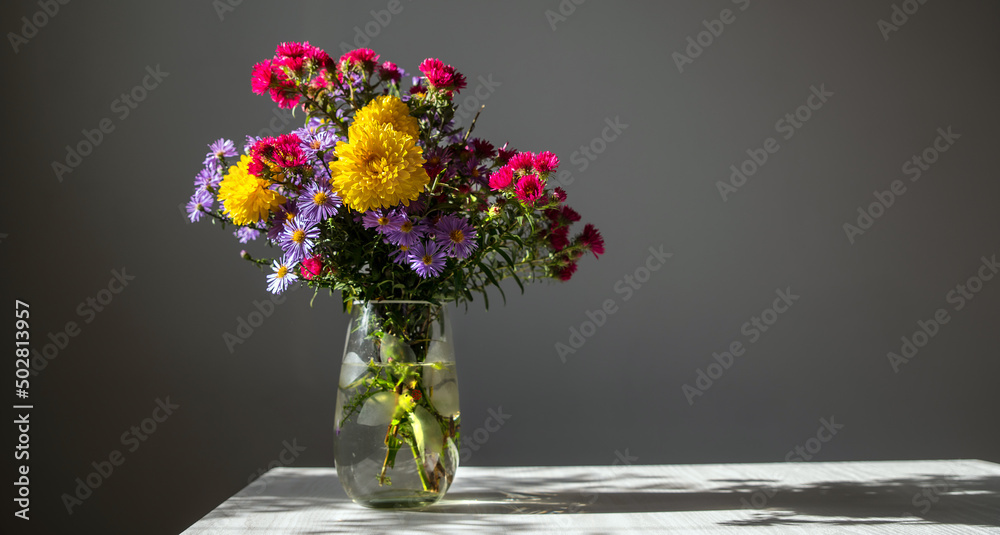 Obraz premium Bouquet of multi-colored chrysanthemums in the sun.