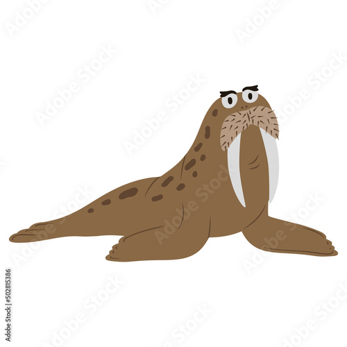 Illustration of cute sea walrus on white background vector illustration cartoon flat style