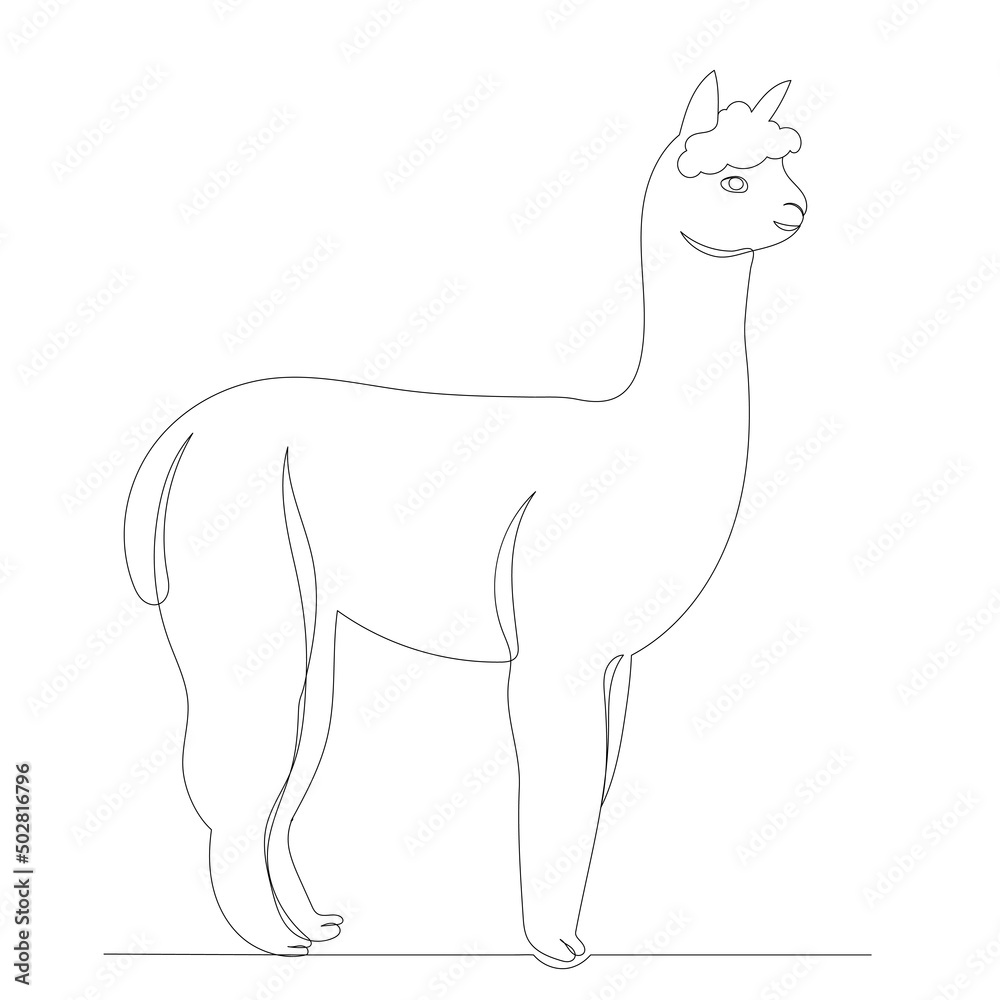 lama drawing by one continuous line, isolated, vector lama drawing by one continuous line, isolated, vector