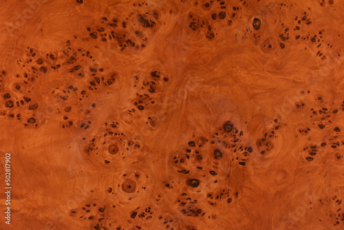 Sfondo di Legno Radica di Noce