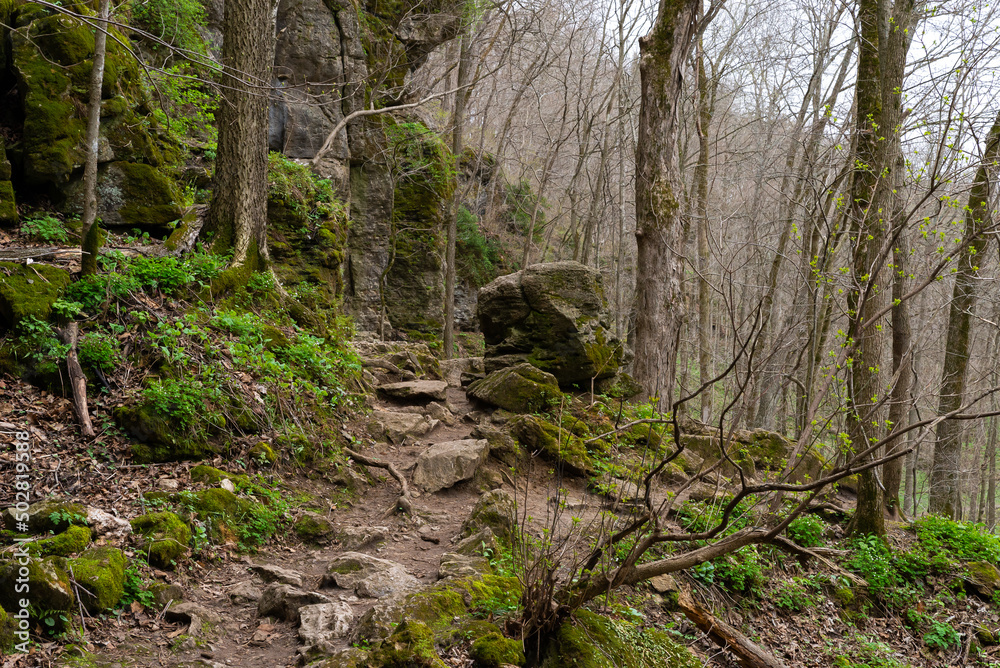 Landscape at Maquoketa Caves State Park. Landscape at Maquoketa Caves State Park.