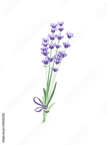 Vector lavender lilac flowers bouquet