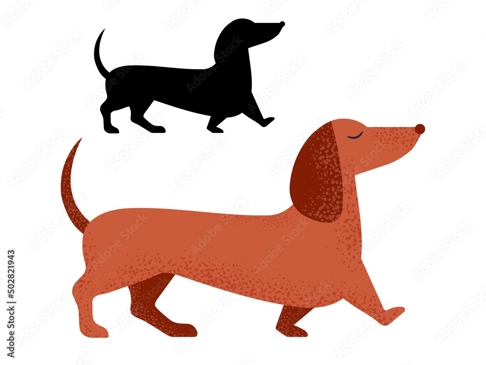 Dachshund Dog Breed in Cartoon and Outline