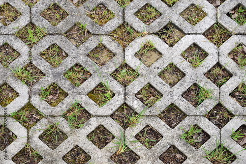 Fresh green grass growing through tiles outdoors, top view