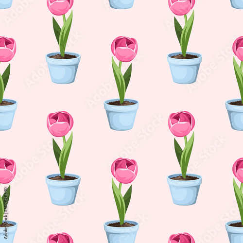 Seamless pattern with pink tulip flowers in blue flowerpots on a pink background. Vector illustration