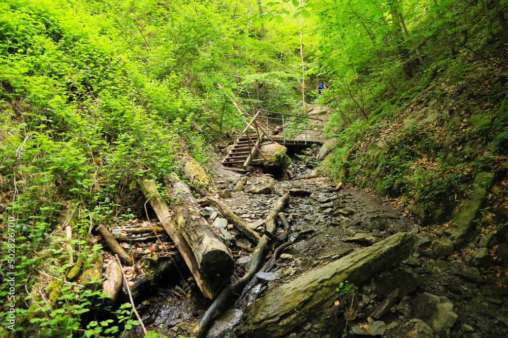 Hiking in the wild and romantic Ruppertsklamm in Lahnstein - Germany Hiking in the wild and romantic Ruppertsklamm in Lahnstein - Germany