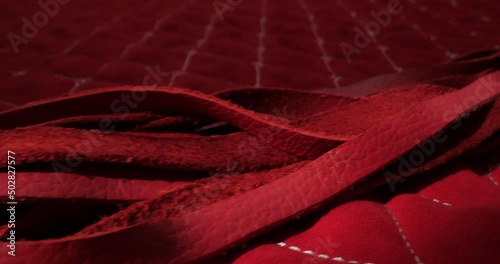 detailed, extreme close-up of a red whip on a red blanket