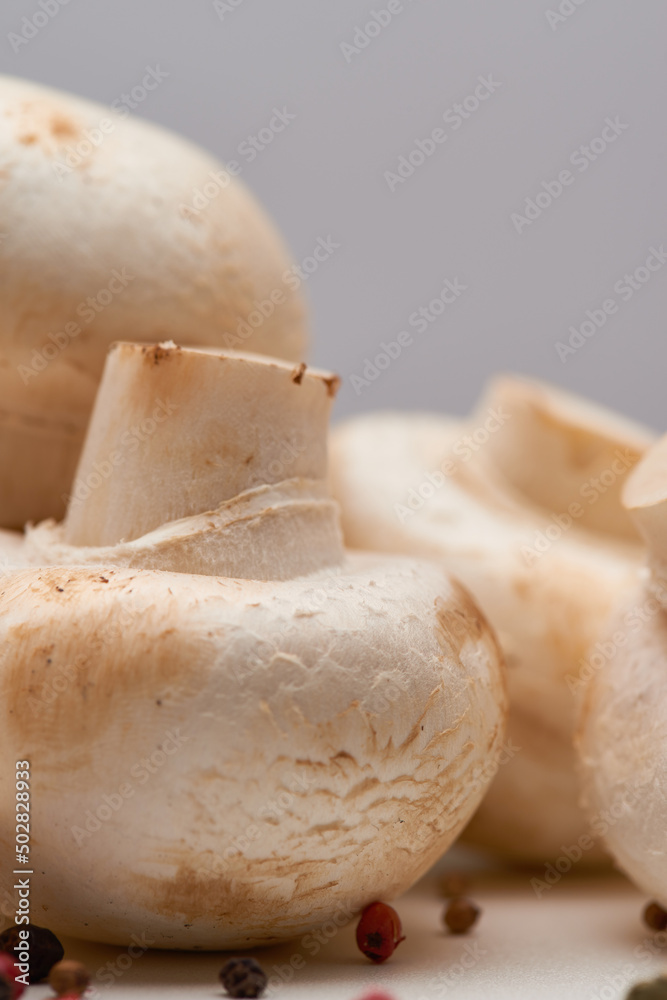 Macro shot of white button mushrooms close up Macro shot of white button mushrooms close up