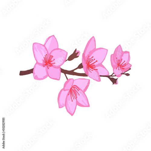 Fototapeta Naklejka Na Ścianę i Meble -  branch of pink blossom