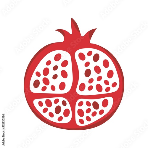 pomegranate vector icon color illustration