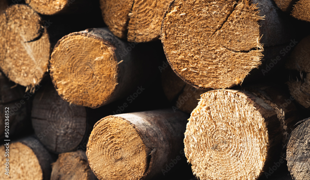 pattern of firewood for the firebox, background of chopped logs pattern of firewood for the firebox, background of chopped logs