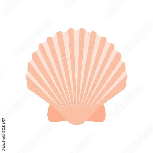 sea shell isolated on white background vector photo