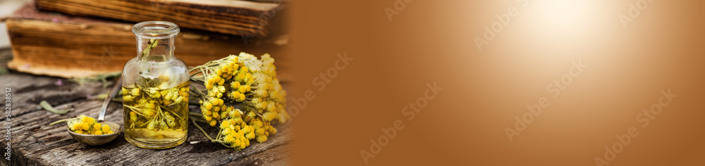 Banner with july arenarium in a spoon, helichrysum arenarium, dwarf everlast, immortelle, curry plant, italian strawflower apothecary bottles with tincture and essential oils for beauty salons Banner with july arenarium in a spoon, helichrysum arenarium, dwarf everlast, immortelle, curry plant, italian strawflower apothecary bottles with tincture and essential oils for beauty salons