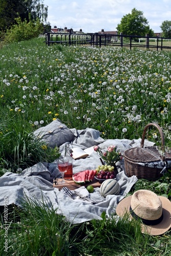Picnic on the dry dandelion field. Hygge style picnic