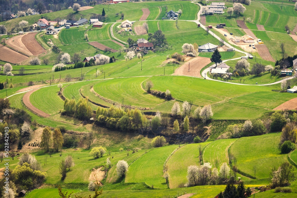 Spring rural landscape motif. Flowering fruit trees, fields and grassy meadows in the hilly countryside. The Hrinova village in Slovakia, Europe.