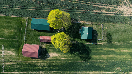 Adrone aerial view of beautiful small farms in the fields. Charming view of village environment photo