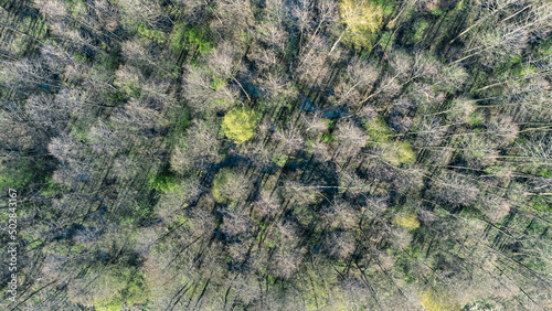 Adrone aerial view of beautiful mysterious landscape  photo