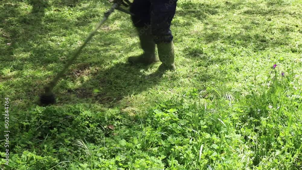 Hombre desbrozando malas hierbas en el campo