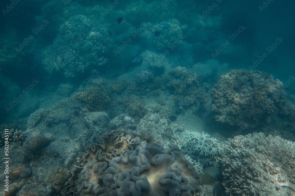 Underwater Underwater