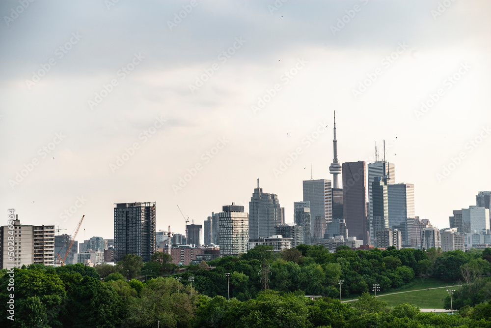 Fototapeta premium Toronto city skyline at sunset