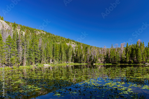 Sunny view of the Nymph Lake with reflection and clear water