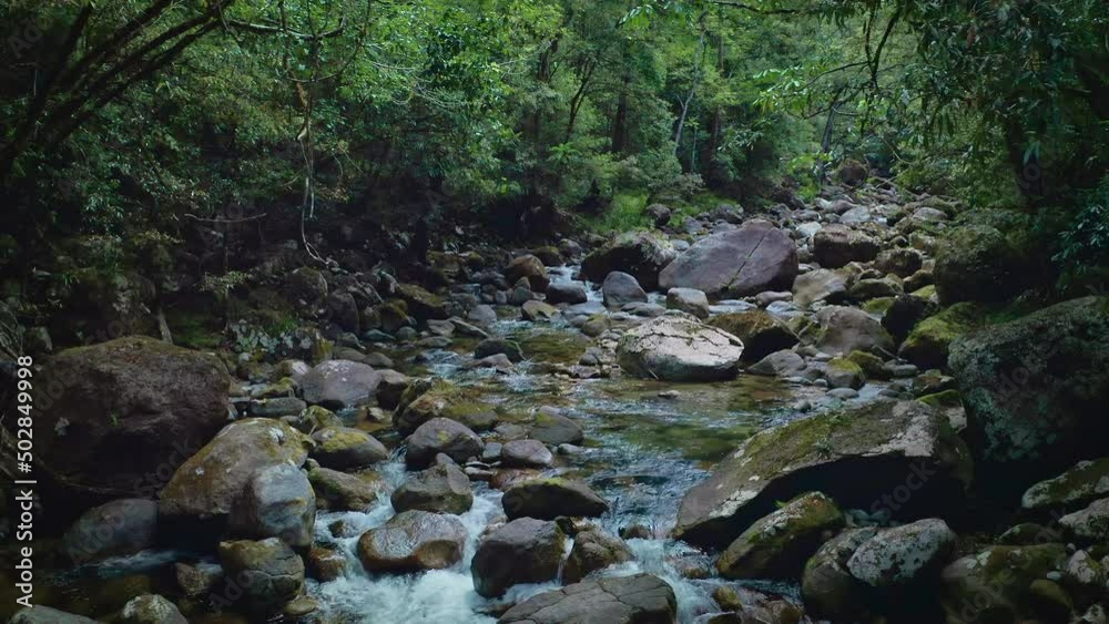 Untouched nature of Daintree rainforest national park. Mossman gorge aerial view Untouched nature of Daintree rainforest national park. Mossman gorge aerial view