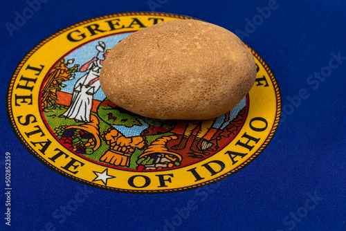 Quadro em tela Idaho state flag and russet potatoes