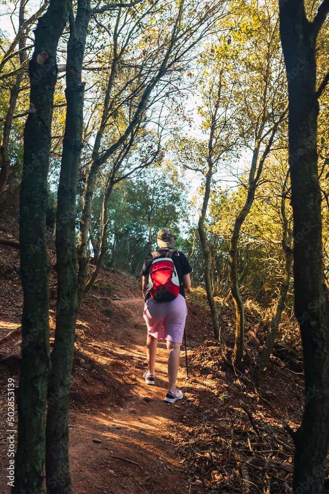 young woman hiking on a forest track. enjoying her holiday. woman walking in nature.