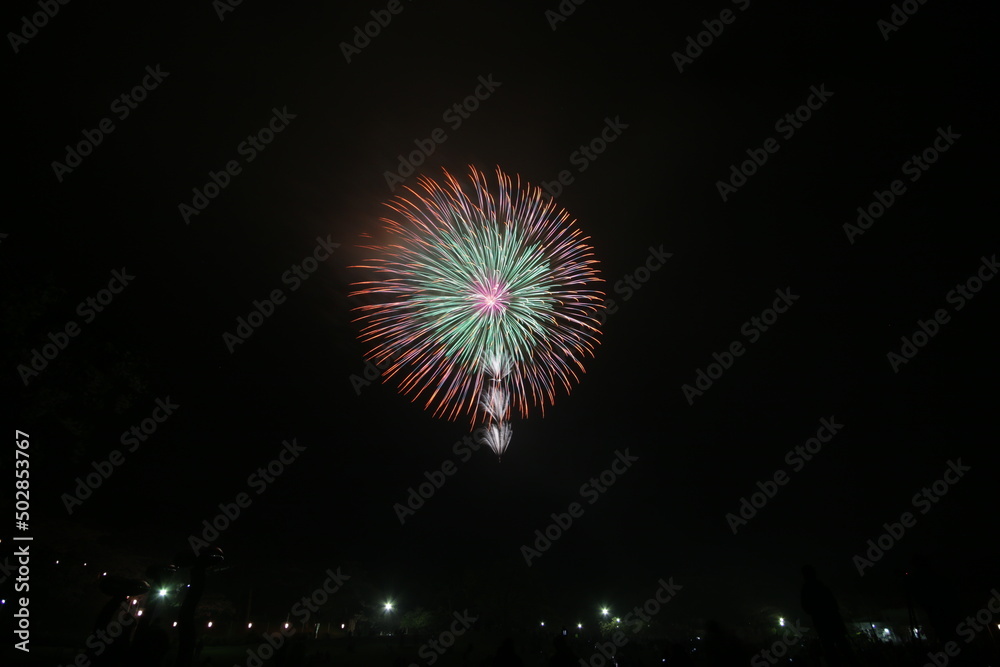 初夏の夜空を彩る花火