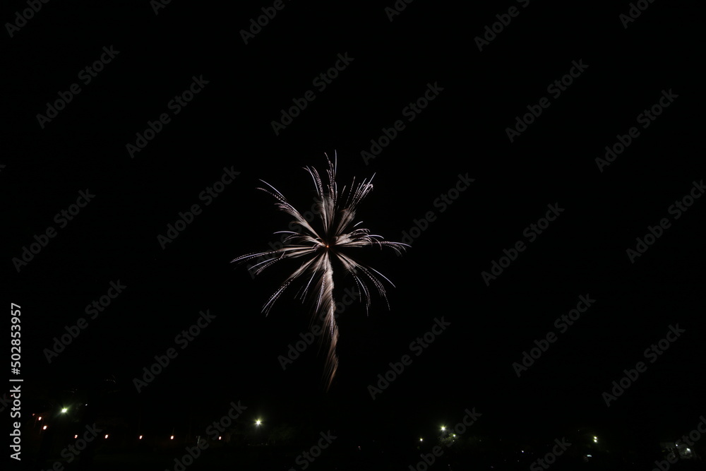 初夏の夜空を彩る花火