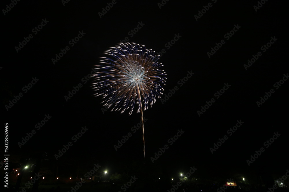 初夏の夜空を彩る花火