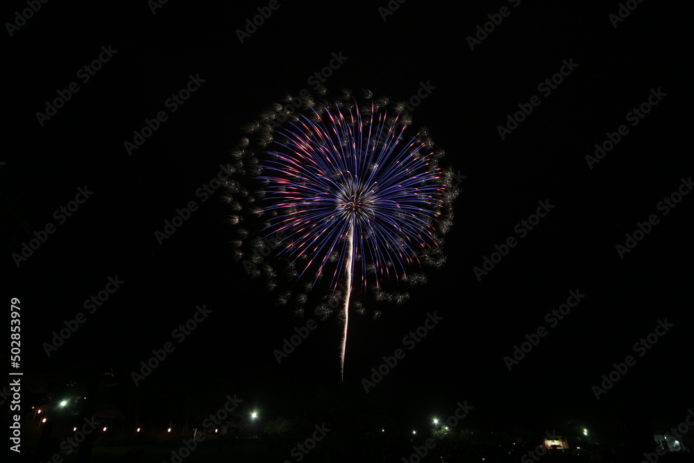 初夏の夜空を彩る花火
