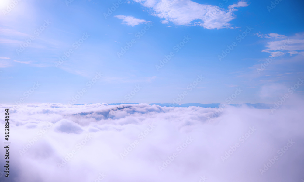 fog and clouds above the mountains valley landscape. fresh air in the morning. nature travel on vacation. conservation of nature concept.