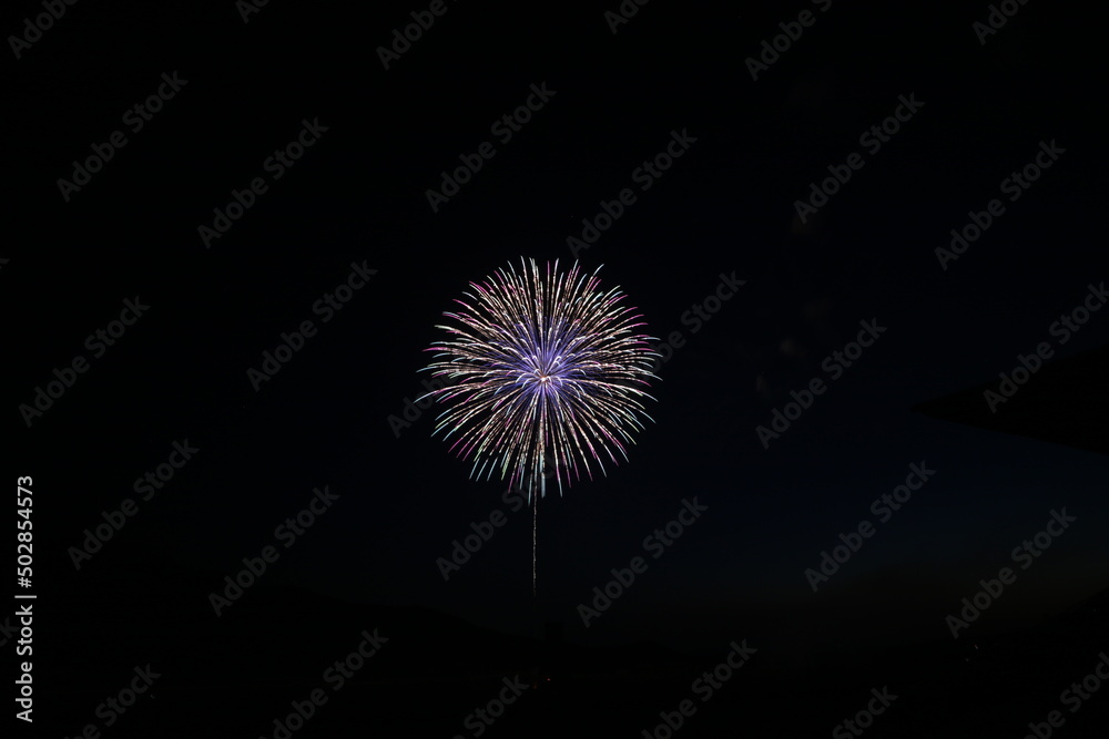 空高く舞い上がる花火