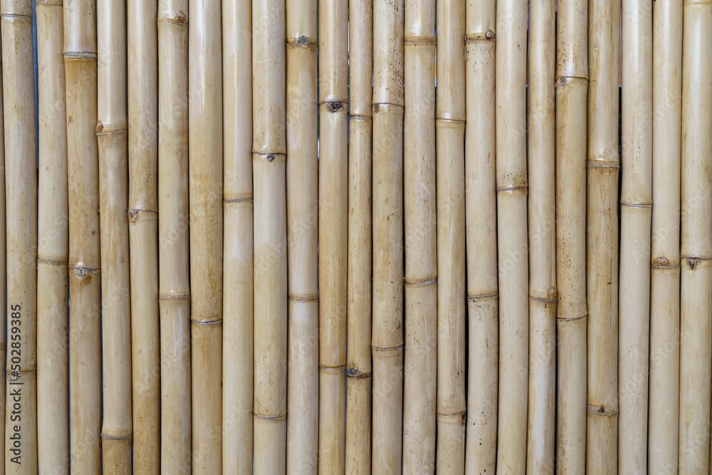 Naklejka premium bamboo background