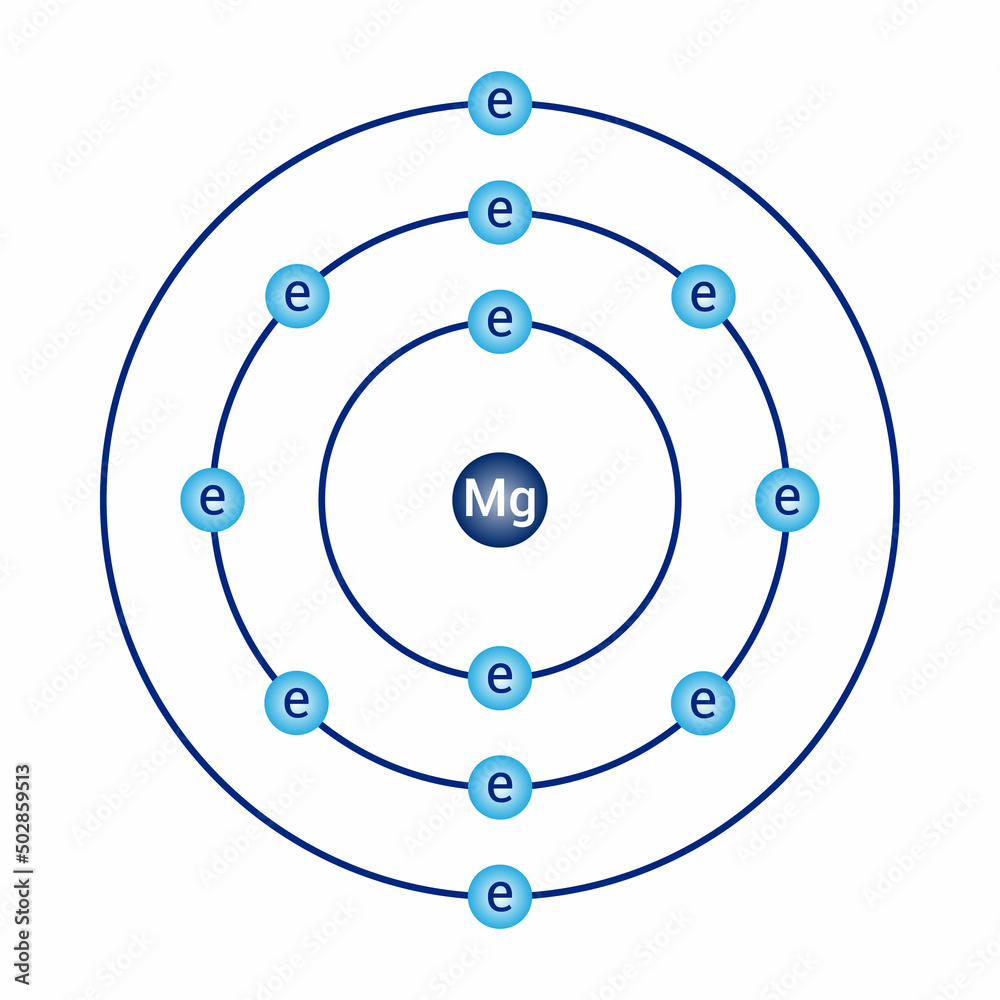 Stockvektorbilden Bohr Model Diagram Of Magnesium In Atomic Physics 