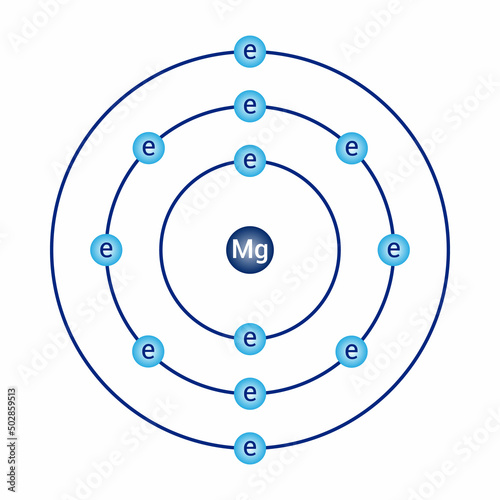 Bohr model diagram of magnesium in atomic physics